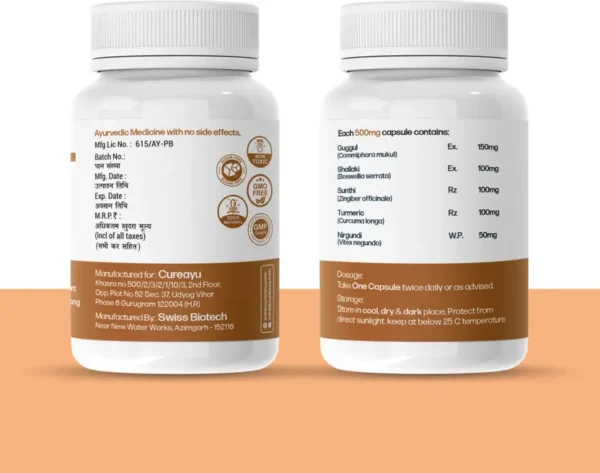 Joint Care Ayurvedic Capsules - Image 3