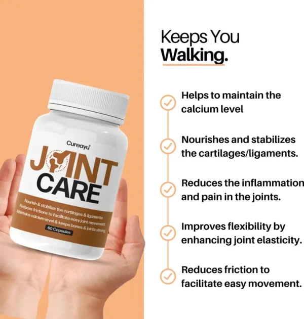 Joint Care Ayurvedic Capsules - Image 2