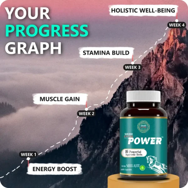 Original Himalayan Shilajit Capsule for Men - Image 3